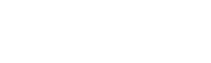 Flick Client